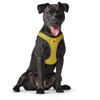 HUNTER HILO COMFORT BVB Dog Harness with 3D Mesh Material,