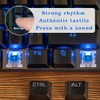 50 Pcs Blue Mechanical Keyboard Switches with Puller & Brush