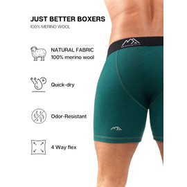 Merino.tech Merino Wool Underwear Mens - 100% Merino Wool Base Layer Boxer Briefs for Men (Medium, 1 Pack - 170 Forest Green)