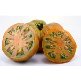 Bottom View Farm 20+ Thornburn's Terracotta Slicing Beefsteak Tomato Seeds Heirloom Indeterminate