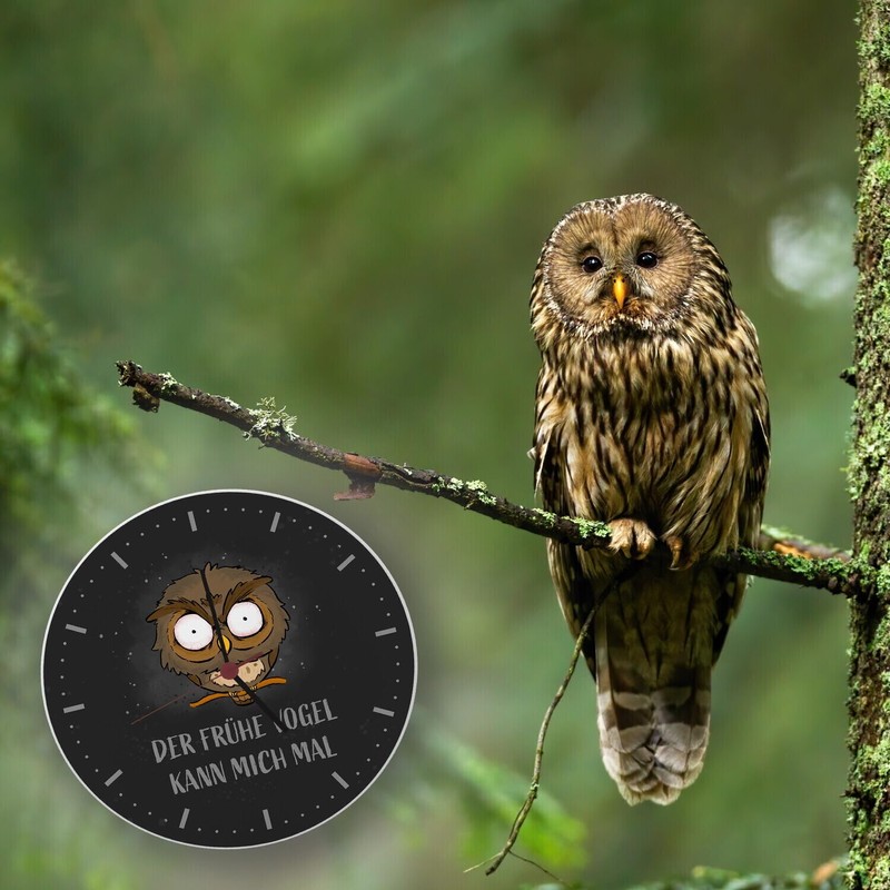 speecheese Owl Wall Clock with Saying Der frühe Vogel kann