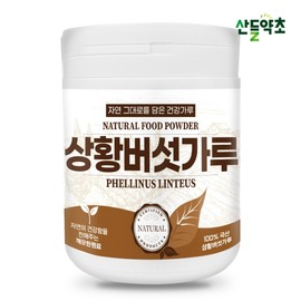 100g domestic 100% Sanghwang mushroom powder / 국산 100% 상황버섯가루 100g