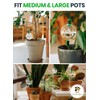3pcs 16 Oz Plant Watering Globes for Indoor Plants with