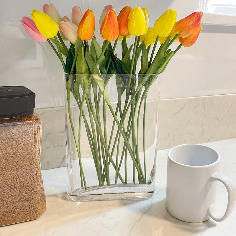 CYS EXCEL Glass Book Vase (H:10" Open:7"x2") Round Edge Oval