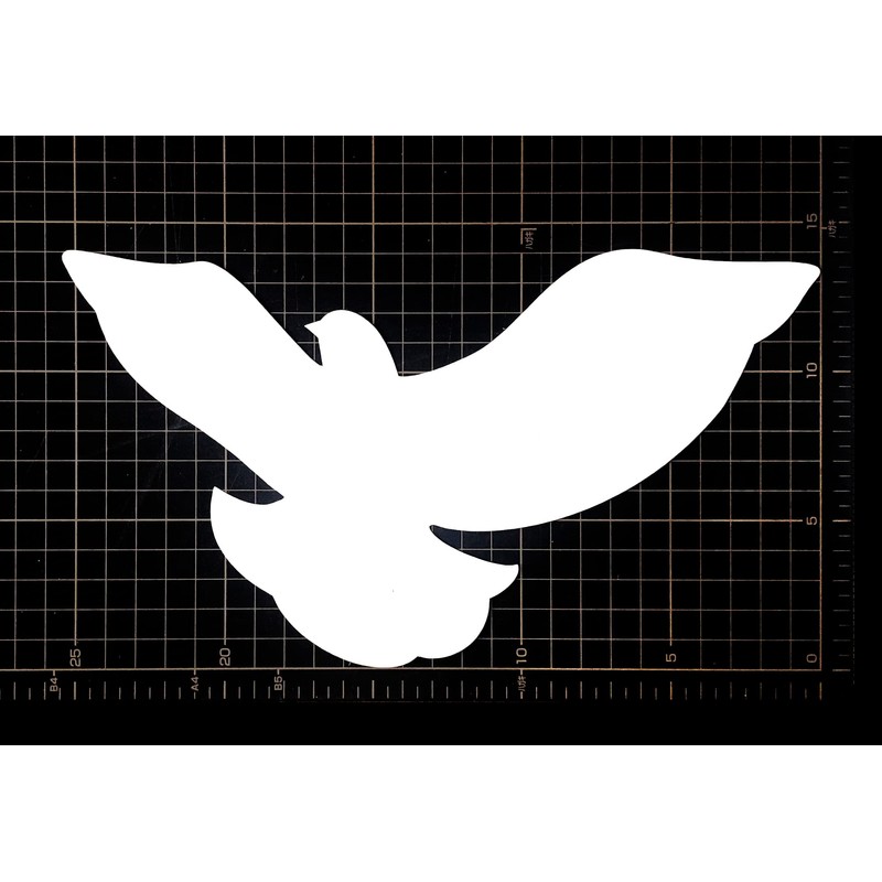 Display Cards, White, 50