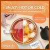 Wissotzky Wellness Immune Herbal Tea, (3 Pack - 60 Tea