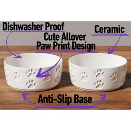 HB Design Co. Ceramic Dog Bowl Set of 2 with Anti-Skid Base - 5" Wide x 2" Tall Ceramic Dog Bowls for Small Dogs - 2 Cup Capacity Food and Water Bowls for Dogs - Rubber Bottom Pet Bowl Set of 2 for Small Pets