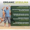 Spirulina Tablets | Organic | 300x500mg | Natural Immune System