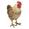 Rustic Western Country Farm Light Brown Chicken Hen Figurine 4.5"