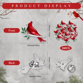 Jexine 20 Pcs Memorial Cardinal Sign Pins Set Funeral Pocket Token Guardian Gifts Pocket Oil Dropped Religious Funeral Favors Celebration of Life Memorial Sympathy Gifts Cardinal Charms for Women Man