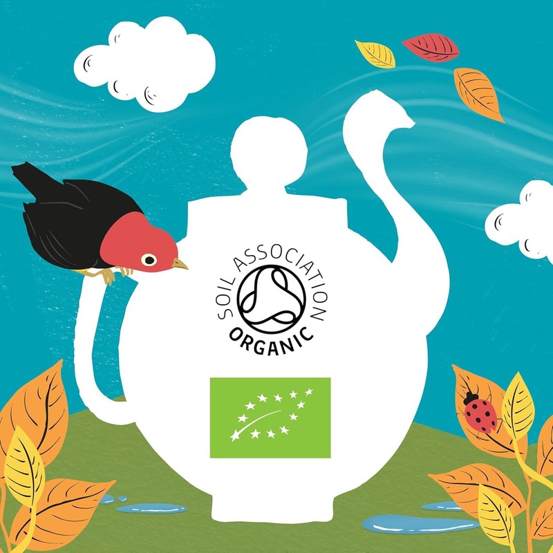 Clipper Tea Organic White Tea Orange 20 Tea Bags White,