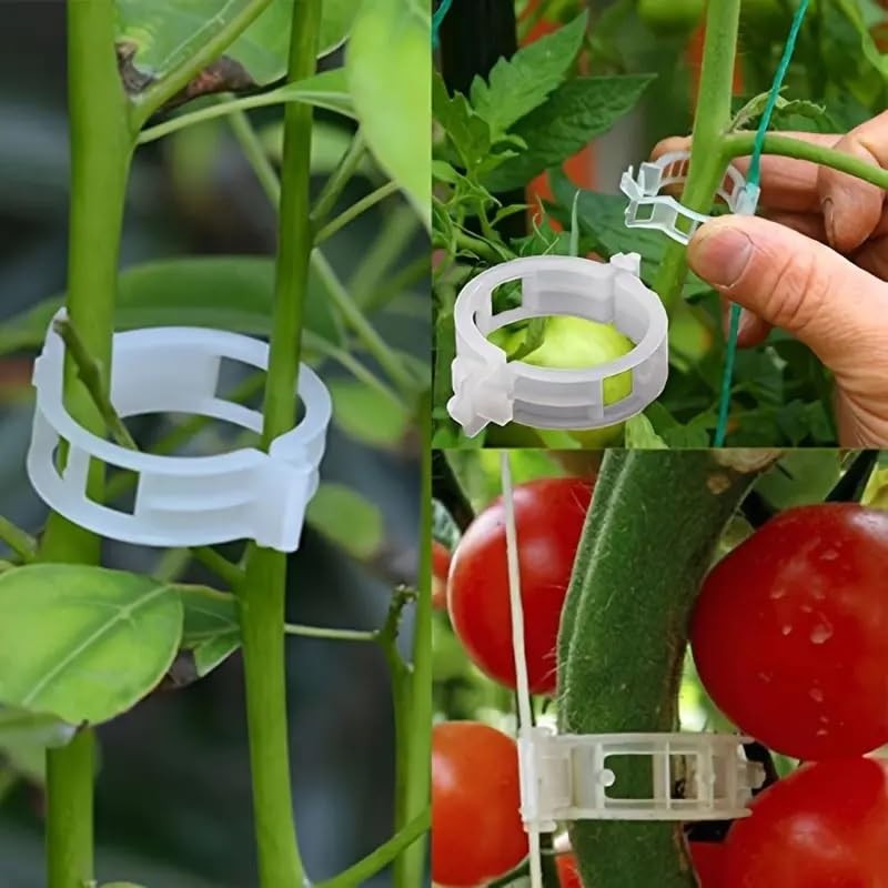 SANHIGHEND Plastic Plant Clips, Make Your Plants Tidy and Beautiful