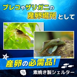 Fabulous Hall Egg Spawning Tube Shelter Tropical Fish Aquarium Cave Aquarium Cave Aquarium Decoration Decoration Kaboko Fish Fry Plecho Crawfish Shrimp Set of 3