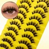 10 Pairs of Clear Band Artificial Eyelashes, Cat Eye, 15