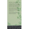 Whittard of Chelsea Green Jasmine Teabags (Pack of 1, Total