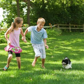 Purely Organic Products Lawn Food 10-0-2, 25 LB Bag (Covers 6,250 Square Feet)