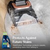 BISSELL 2X Pet Stain & Odor Full Size Machine Formula,