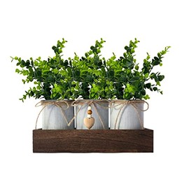 CALAVAK Decorative Centerpiece Wooden Tray with 3 Metal Potted Artificial Eucalyptus Rustic Country Home DÃ©cor for Dining Room, Living Room and Kitchen Table