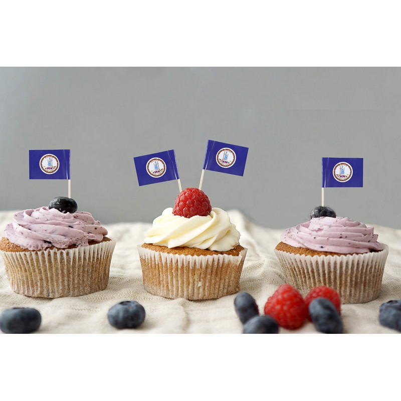 JBCD Virginia Toothpick Flag Mini Small Cupcake Topper Flags, 100