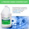 PURE GREEN 24 Safe & Effective Disinfectant. Kills Deadly Germs