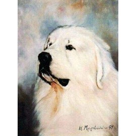 Ruth Maystead Great Pyrenees Head Study Note Card Set 12 Notecards w/Envelopes