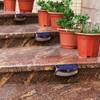 XTF2015 Solar Step Lights Outdoor, Motion Sensor Lights, Copper Outdoor