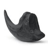 Fossilized Teeth and Claws of Various Prehistoric Dinosaurs, Megalodon Shark
