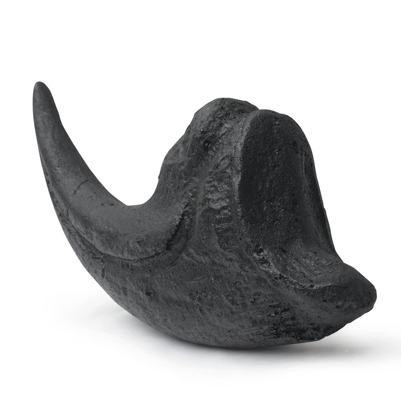 Fossilized Teeth and Claws of Various Prehistoric Dinosaurs, Megalodon Shark