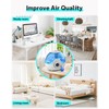 Leemone Humidifier Cleaner 12 Pack, Demineralization Cleaning Ball, Works in