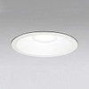 odelic (odelic) [Construction Need] LED ekusuteriadaunraito (to) For [Incandescent W
