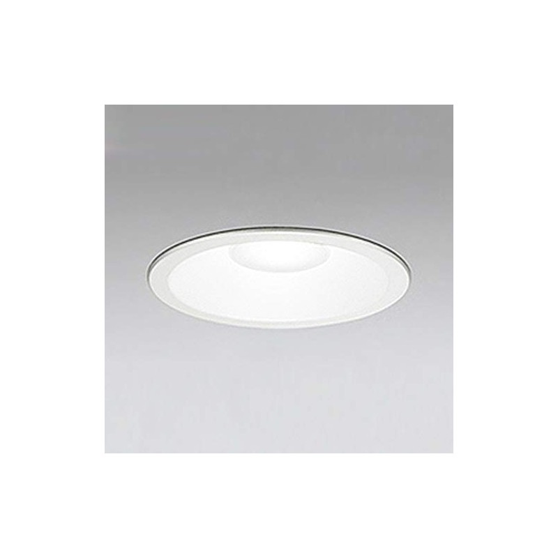 odelic (odelic) [Construction Need] LED ekusuteriadaunraito (to) For [Incandescent W