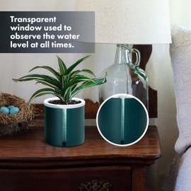 D'vine Dev 4 Inch Design Self Watering Planter for Indoor Plants, White Terracotta Pots with Teal Cylinder Glass Cup, Set of 3, 376-A-3