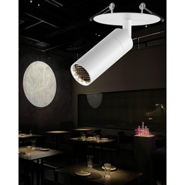 Gpaillumic Flush Mount LED Ceiling Spotlight, 7W Zoomable Directional Spot Lights Indoor Bright Can Accent Fixture for Living Room Bedroom - COB Chip CRI 97 Flicker Free