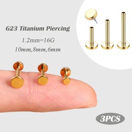 Adramata Pack of 3 16G Helix Piercing | G23 Titanium Labret | Internal Thread Tragus/Conch Earrings | Hypoallergenic Lip Piercing | Cartilage Conch Earrings Piercing Ear 6/8/10 mm | 3 x Single Plugs