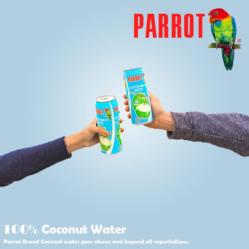 Parrot Brand Coconut Water No Pulp 500ml 16.9 fl. oz.(Pack