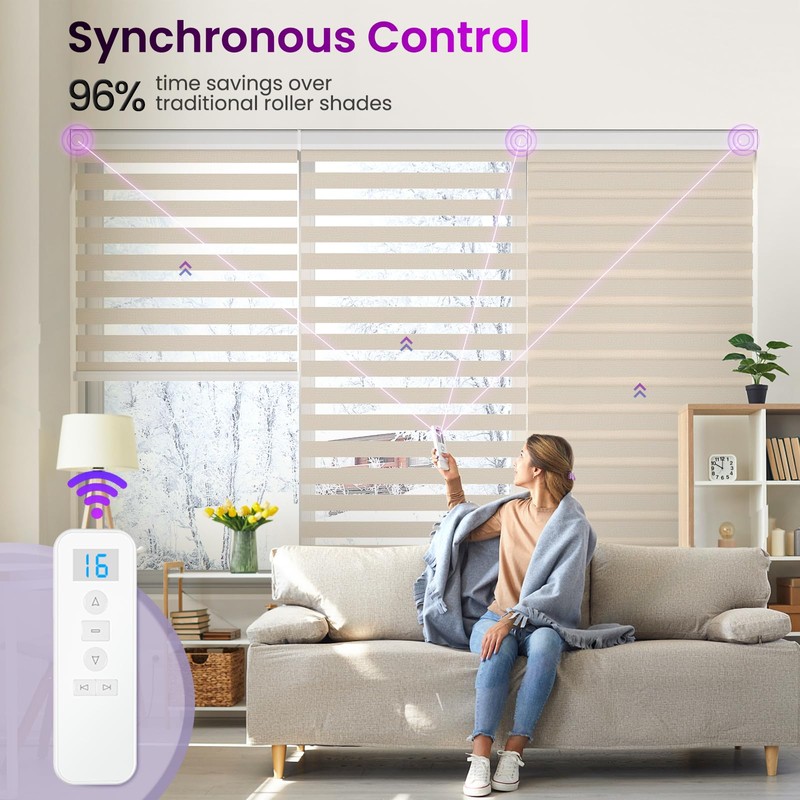 Sample Collection of Astomi Motorized Zebra Blinds for Window