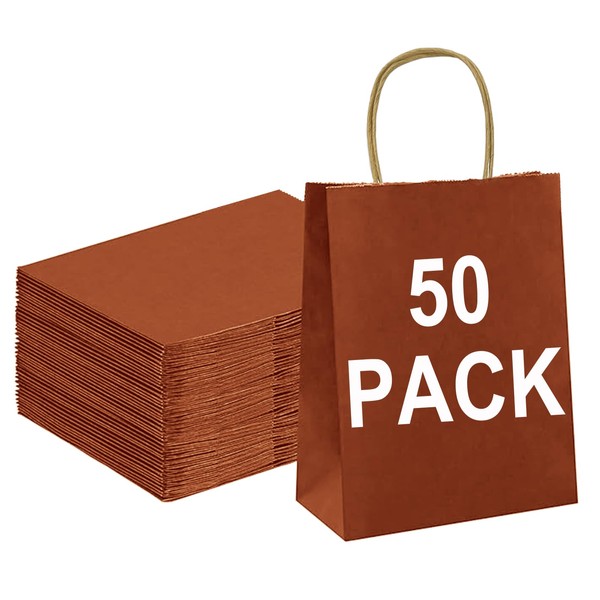 BAG BOX Paper Bags (Orange/8.3 * 4.3 * 10.6 Inch,
