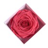 Infinity Rose Preserved Rose Box I Love You Gift for