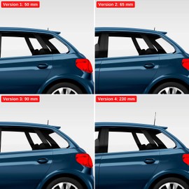 Car Aerial, 65 mm Length, for Interference-free AM, FM 87.5-108 MHz, DAB, DAB+ Reception, in Black, Screw-On with Universal Adapter M4 M5 M6, Short Rod Antenna, Car Roof Antenna with Antenna Base