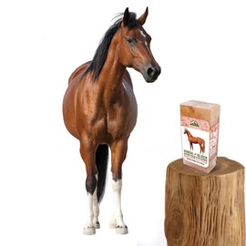 Himalayan Nature 100% Natural Himalayan Rock Salt Block - Mineral Salt Licking Brick for Animals, Horses & Deer | 5 LBS, 5-8 LBS