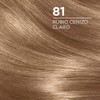 Miss Clairol Tinte Permanente 81 Rubio Cenizo
