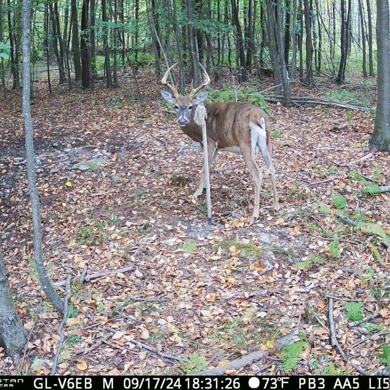 Heated Hunts Rigid Mock Scrape Post Kit with Synthetics Scents