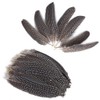 Trsnzul Pheasant Feathers, Pack of 40 Artificial Feathers for Dream