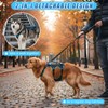 Yeyeplum Dog Lift Harness for Large Male Dogs, 2-in-1, Back