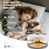 Flea Traps for Inside Your Home, 2 Packs Flea Trap