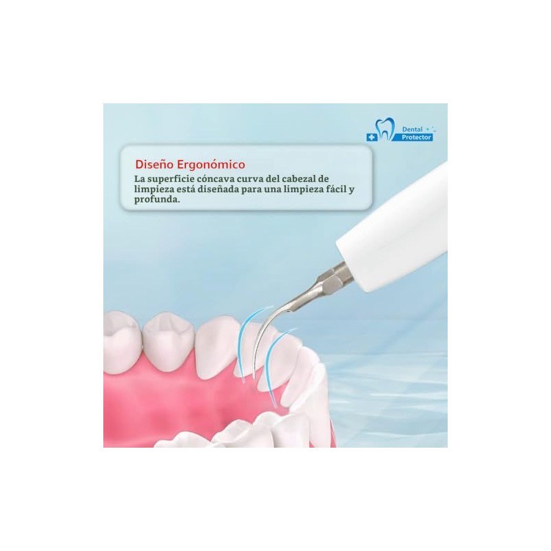 Punta dental mixta P1 10 ajuste de escala EMS, pájaro
