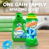 Gain In-Wash Laundry Scent Booster, Blissful Breeze Scent, 24.0 OZ,
