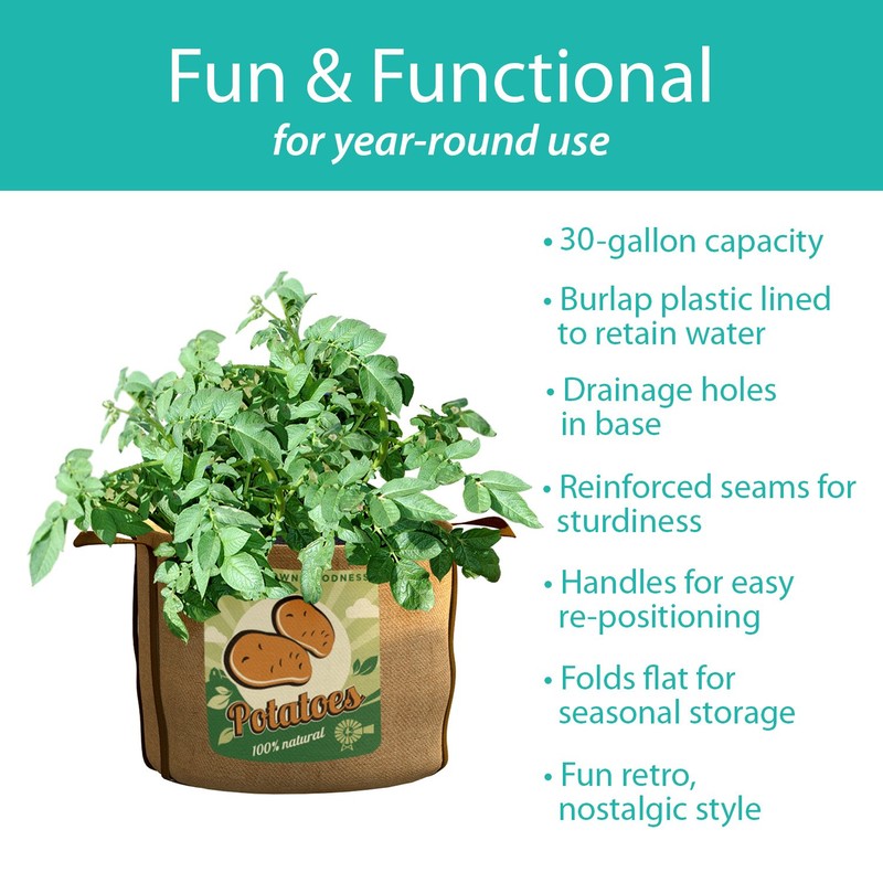 PANACEA PRODUCTS 30 gallon Grow Bag Potatoes - 84388