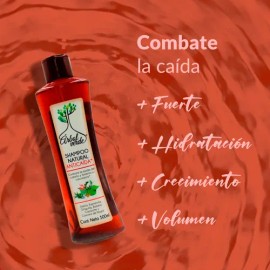 Shampoo Anticaída de Romero Árbol Verde 500ml Natural para Crecimiento Capilar Sábila y Espinosilla Fortalecedor, Reduce Quiebre Uso Diario Todo Tipo 