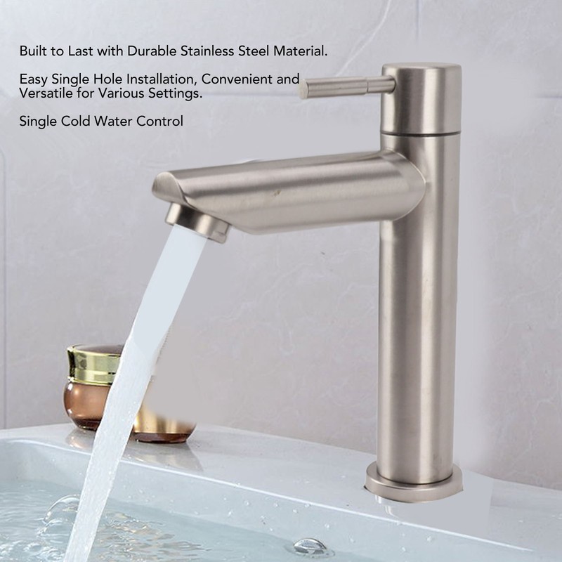 Kitchen Faucet Single Hole Stainless Steel Single Cold Sink Faucet